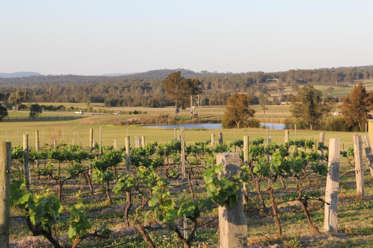 Blueberry Hill Vineyard Stay Rothbury Exterior foto