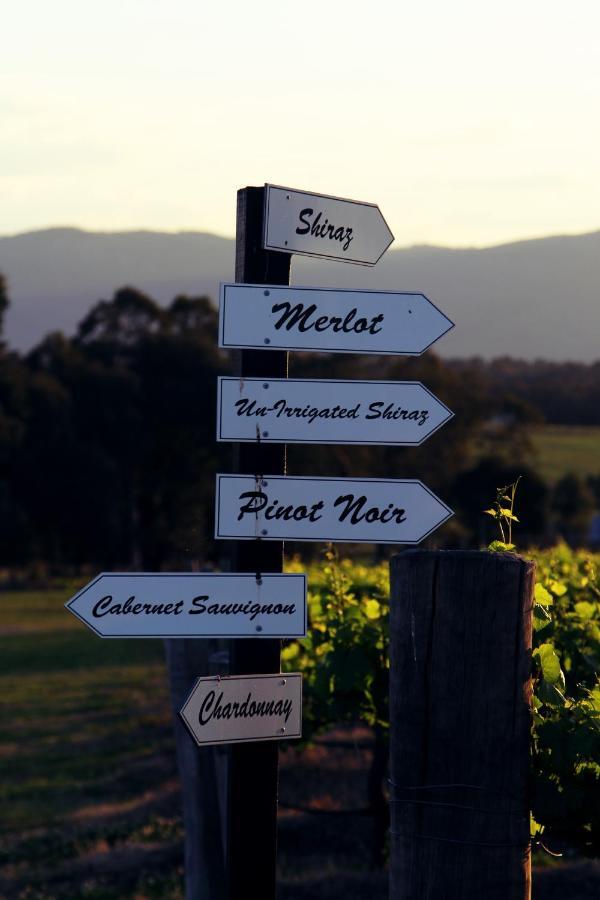 Blueberry Hill Vineyard Stay Rothbury Exterior foto