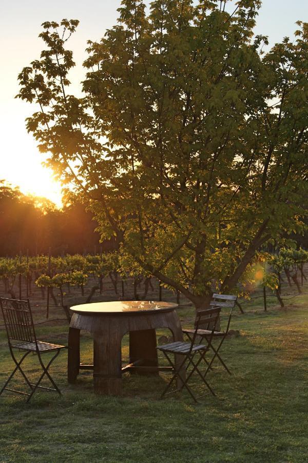 Blueberry Hill Vineyard Stay Rothbury Exterior foto