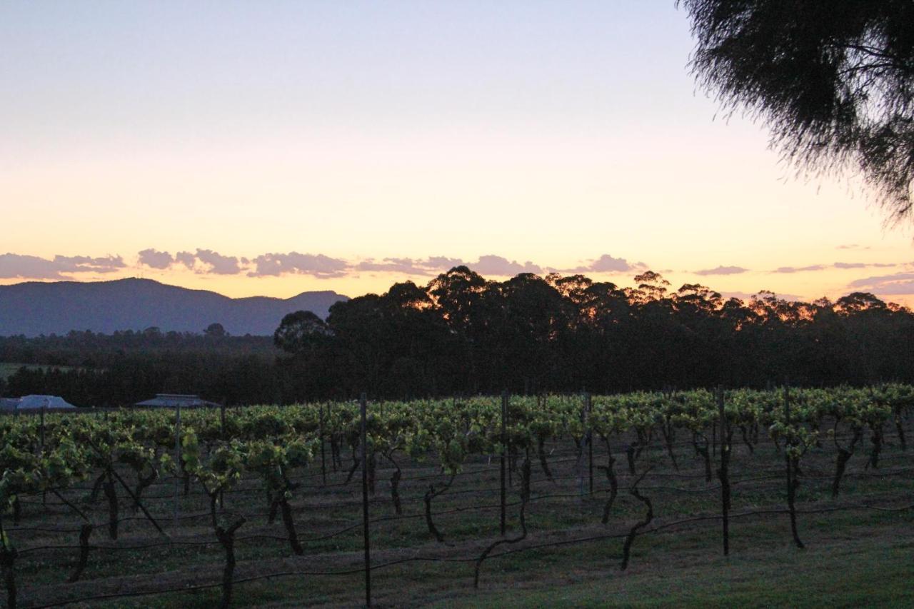Blueberry Hill Vineyard Stay Rothbury Exterior foto